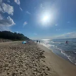 Sun Paradise *