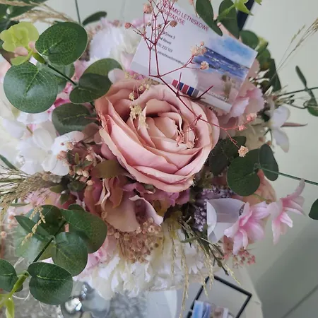 Sun Paradise * 里沃