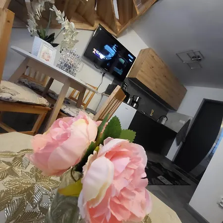 Sun Paradise * 里沃