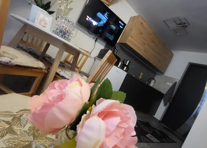 Sun Paradise * Rewal